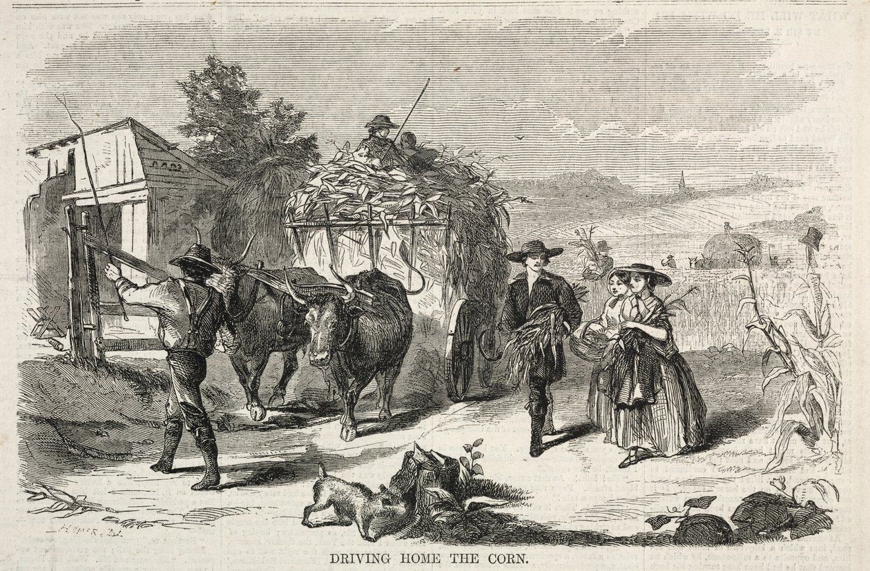 Driving Home the Corn, 1858. od Winslow Homer