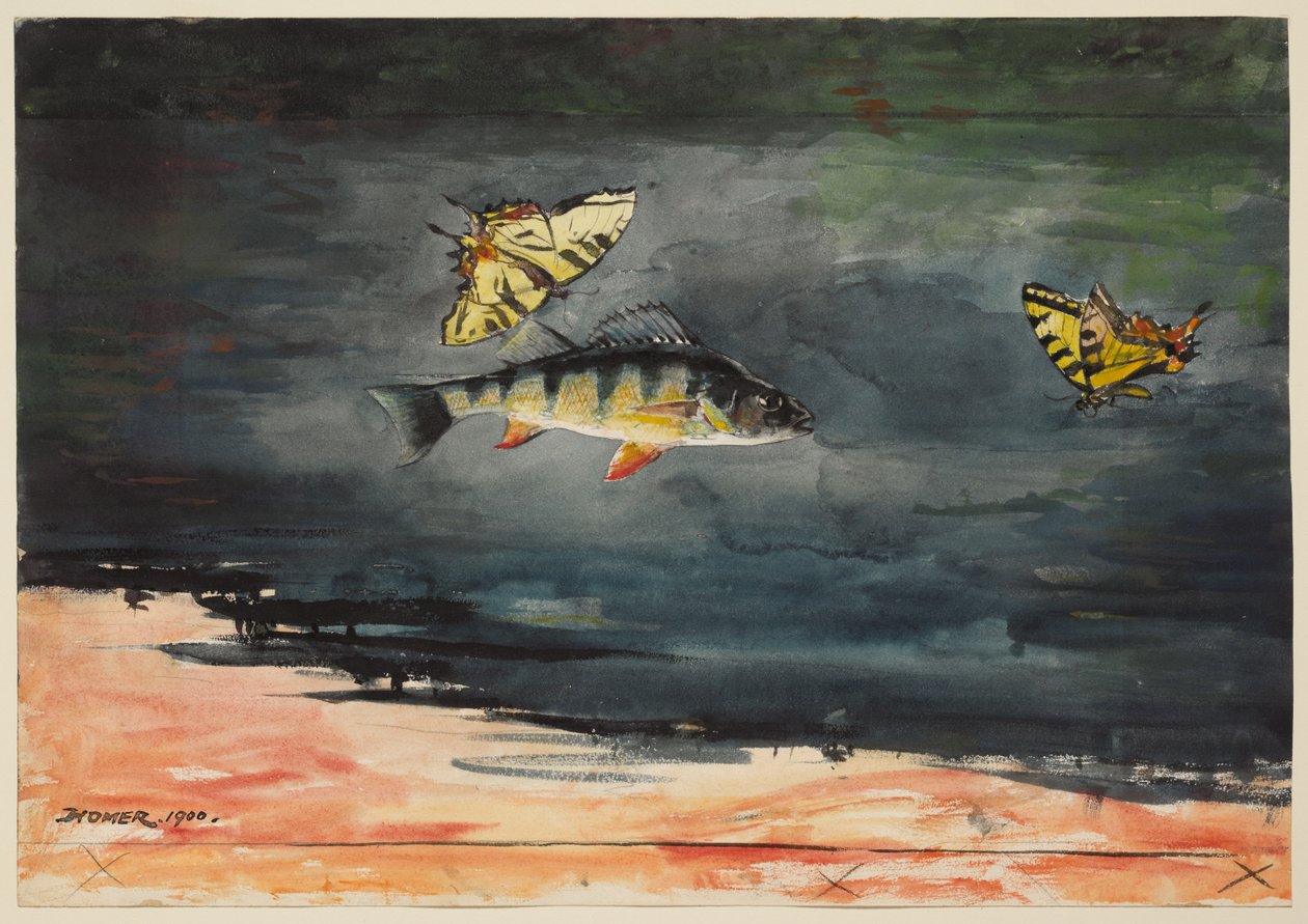Ryby a motýli od Winslow Homer