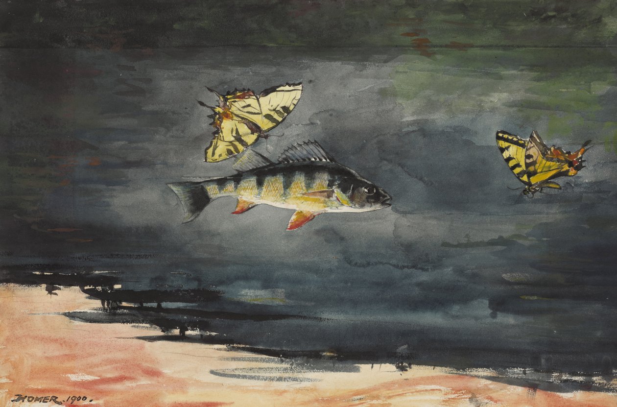 Ryby a motýli, 1900 od Winslow Homer