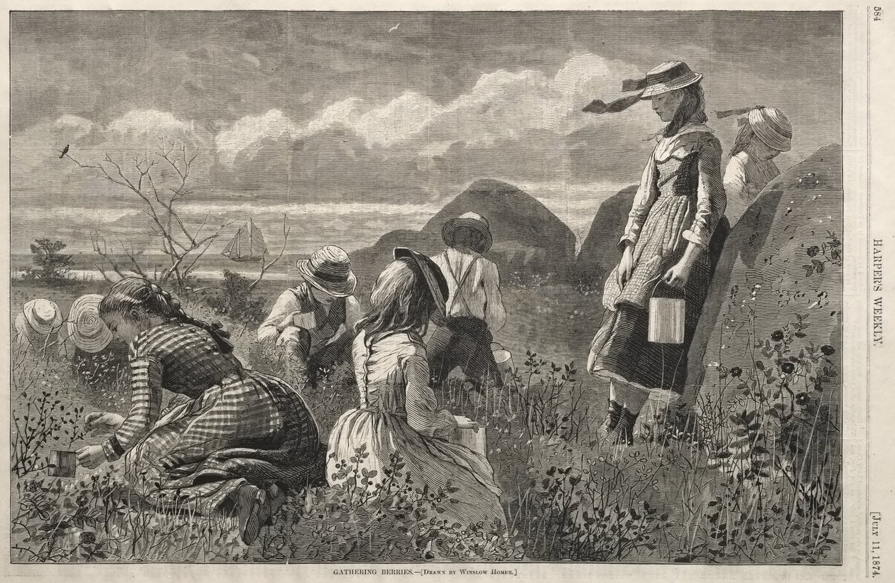 Sběr bobulí od Winslow Homer