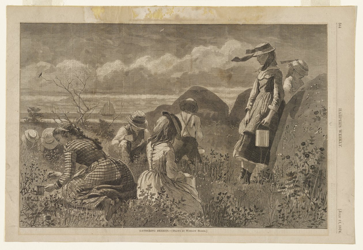 Sběr bobulí od Winslow Homer