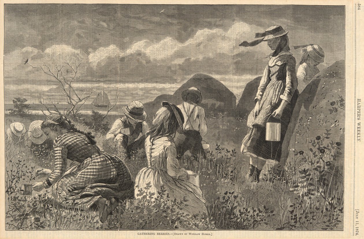 Sběr bobulí, od Harpera od Winslow Homer