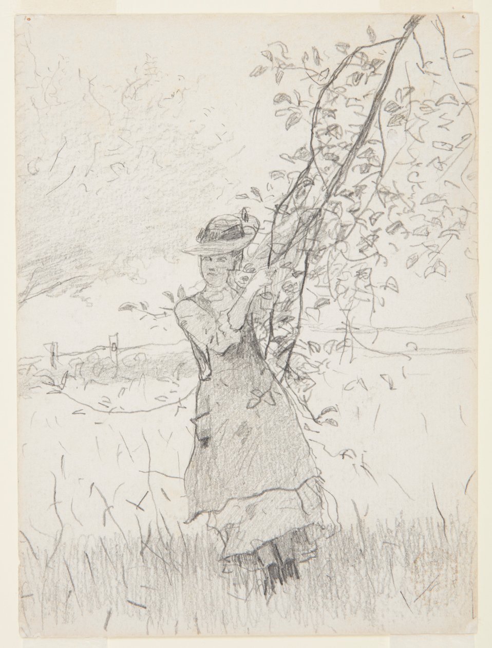 Dívka držící větev jabloně od Winslow Homer
