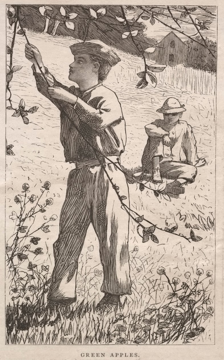 Zelená jablka od Winslow Homer