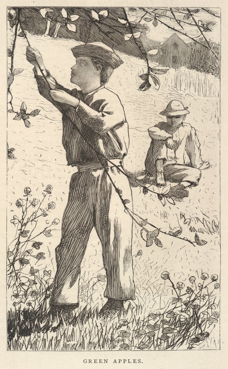 Zelená jablka, z časopisu Our Young Folks, srpen 1868 od Winslow Homer