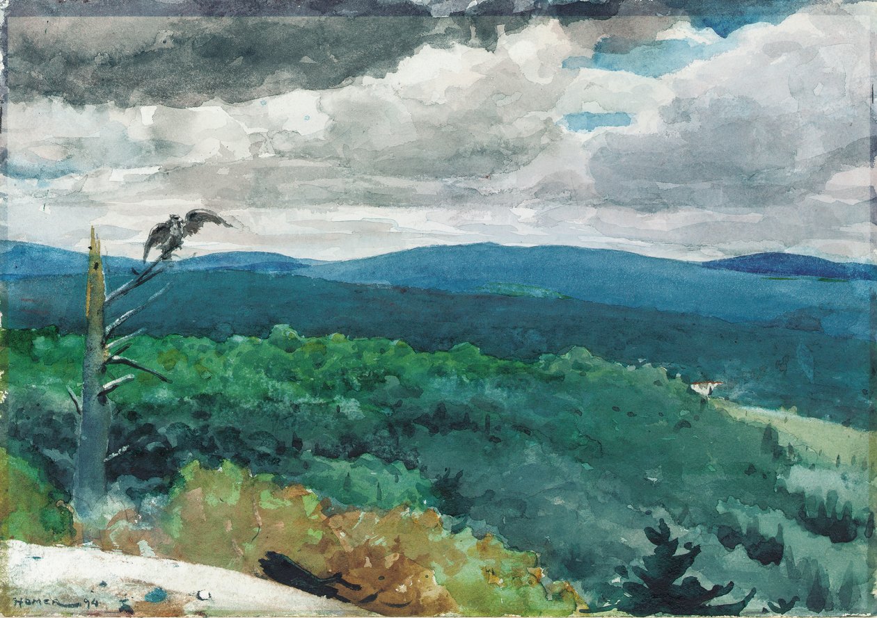Kopcovitá krajina, 1894 od Winslow Homer