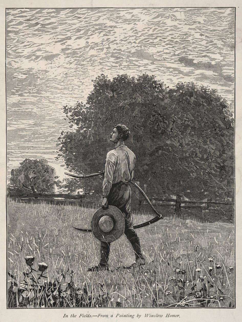 Na polích od Winslow Homer
