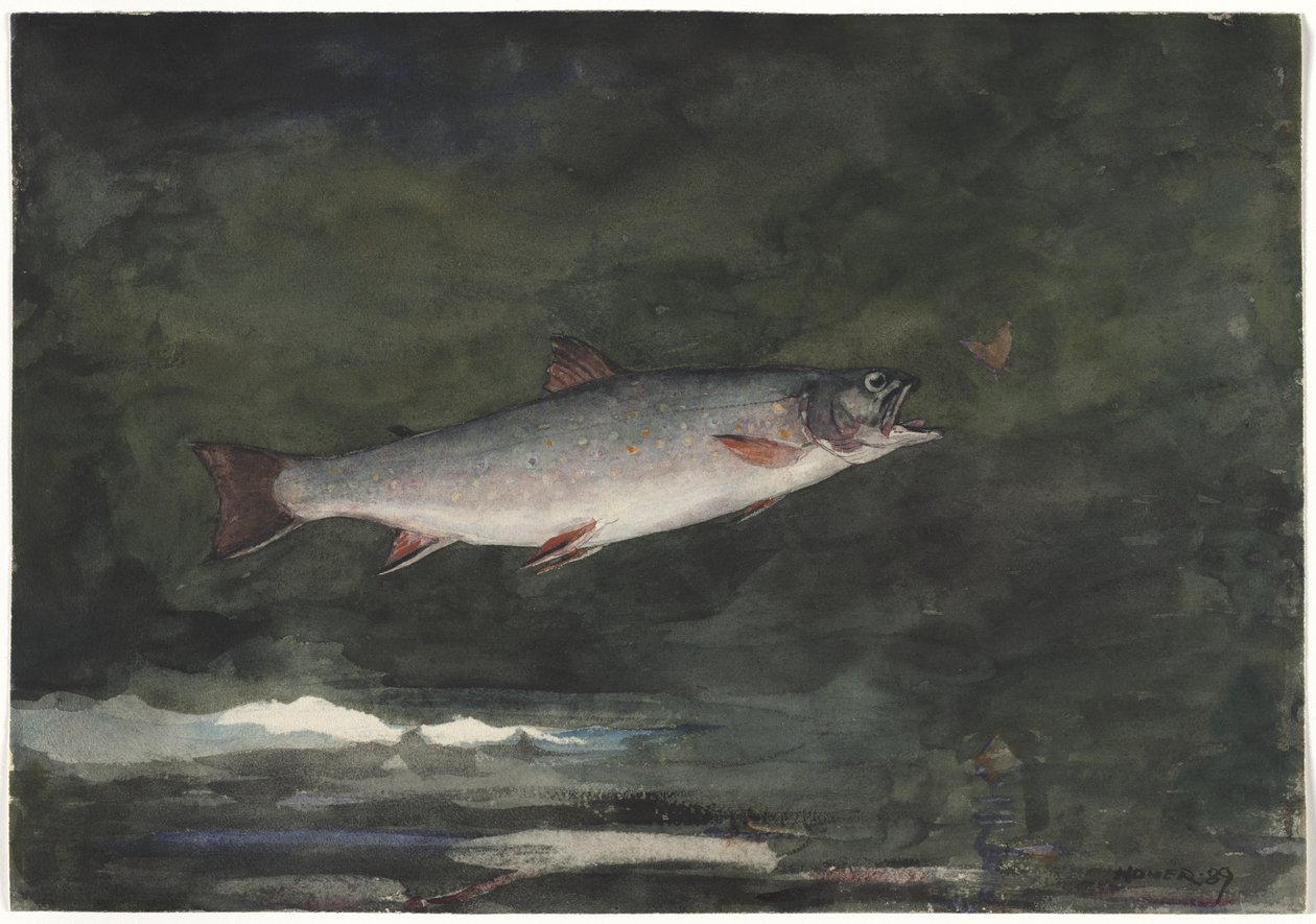 Skákající pstruh od Winslow Homer