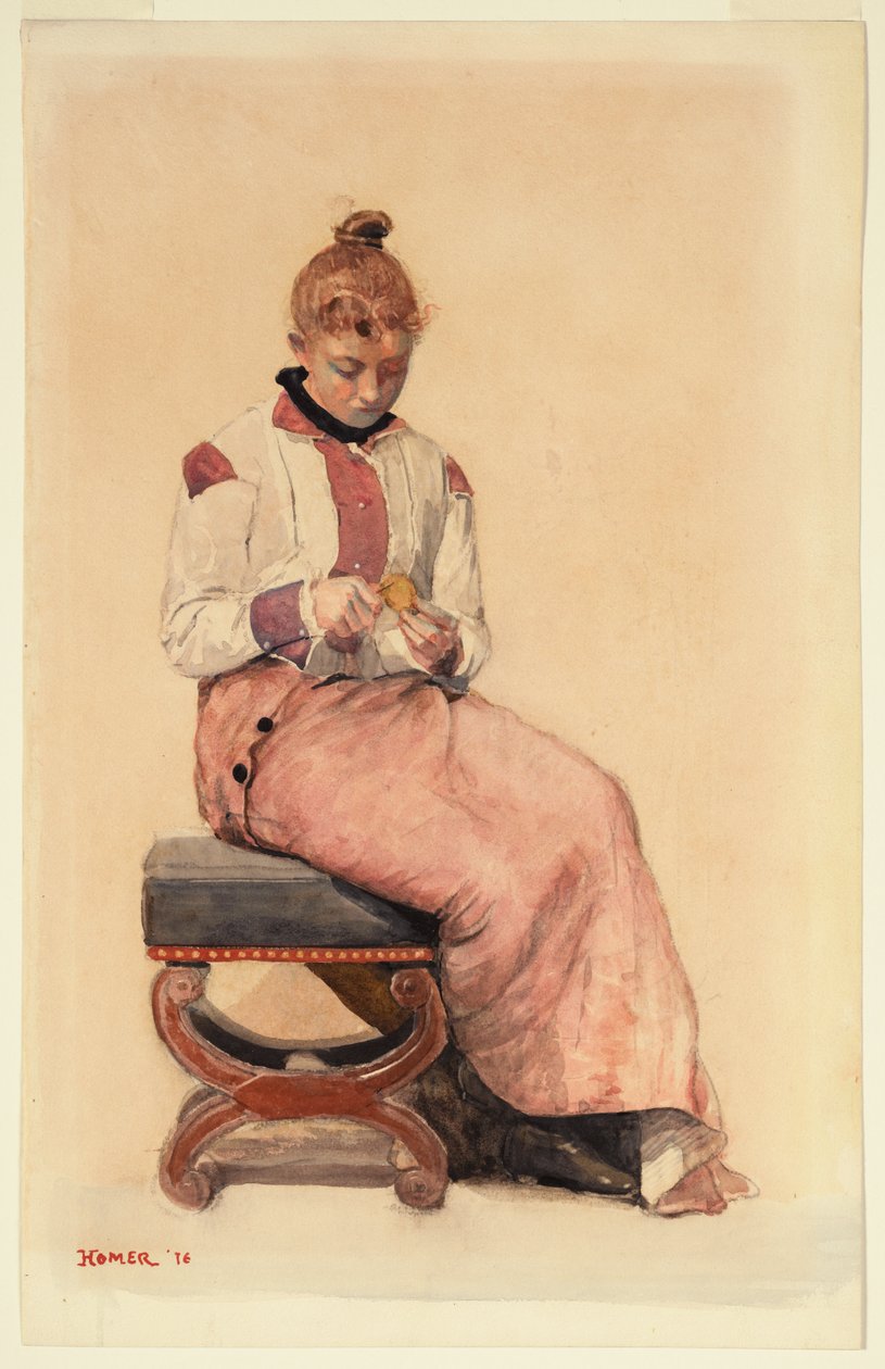 Citron od Winslow Homer
