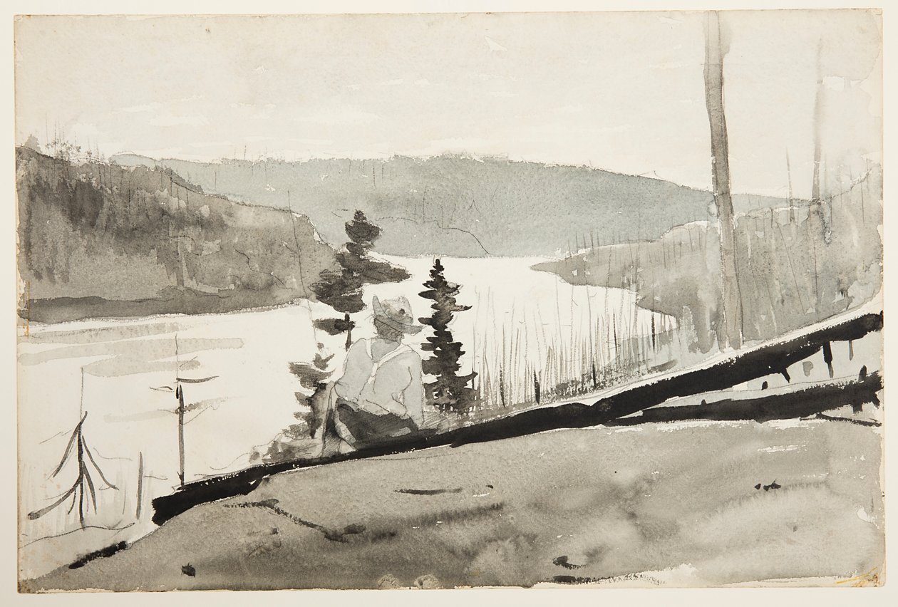 Horská řeka nebo jezero od Winslow Homer