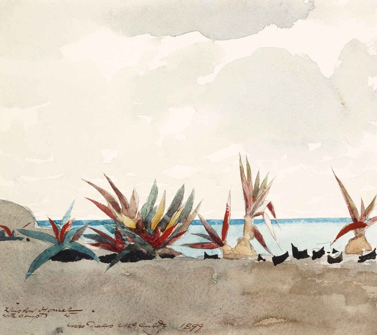 Pláž Nassau s agávemi od Winslow Homer