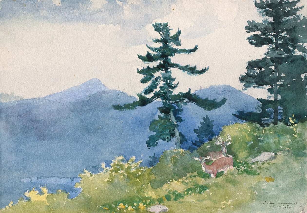 North Woods Club, Adirondacks (The Interrupted Tete-a-Tete) od Winslow Homer