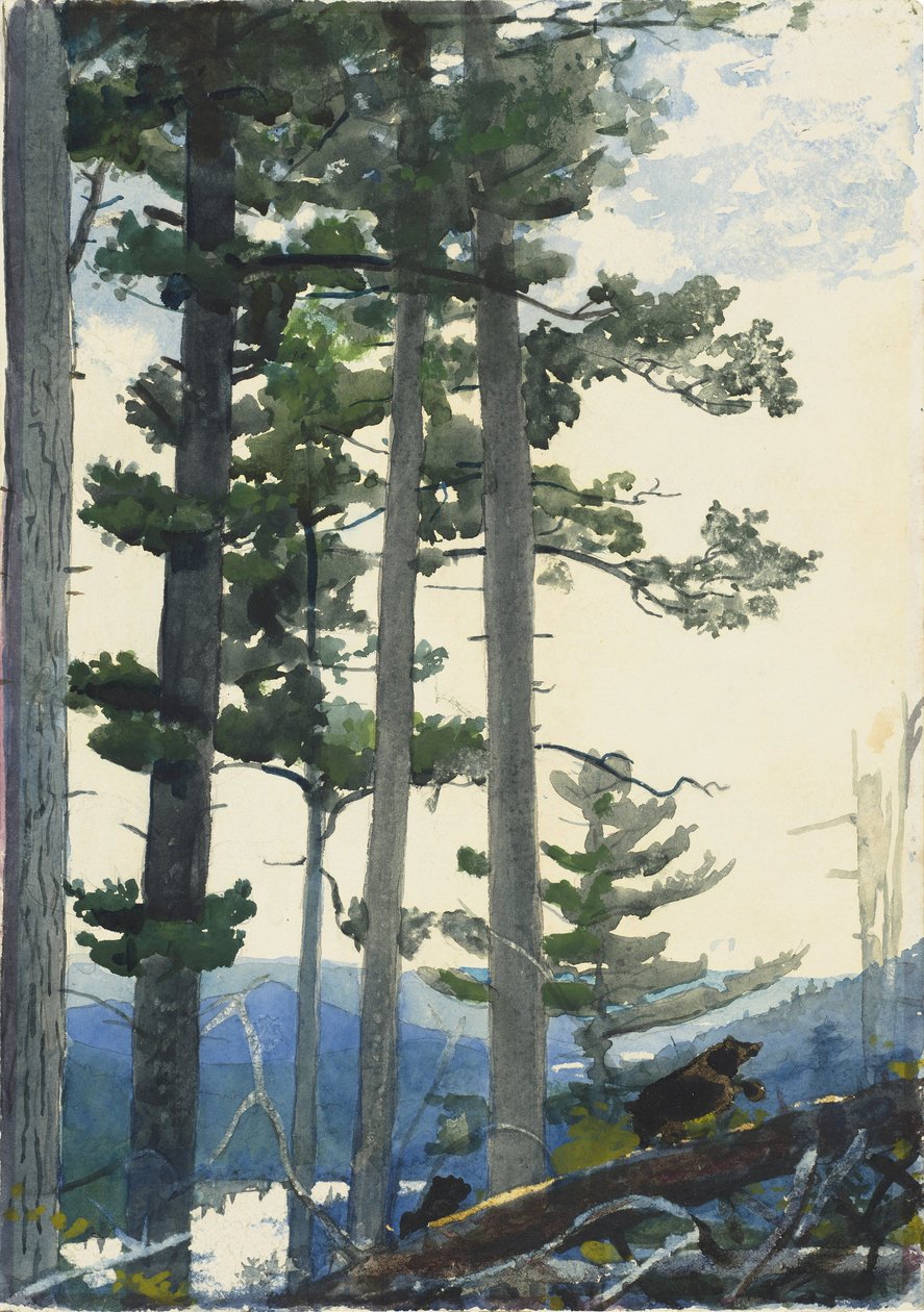 Staří osadníci od Winslow Homer
