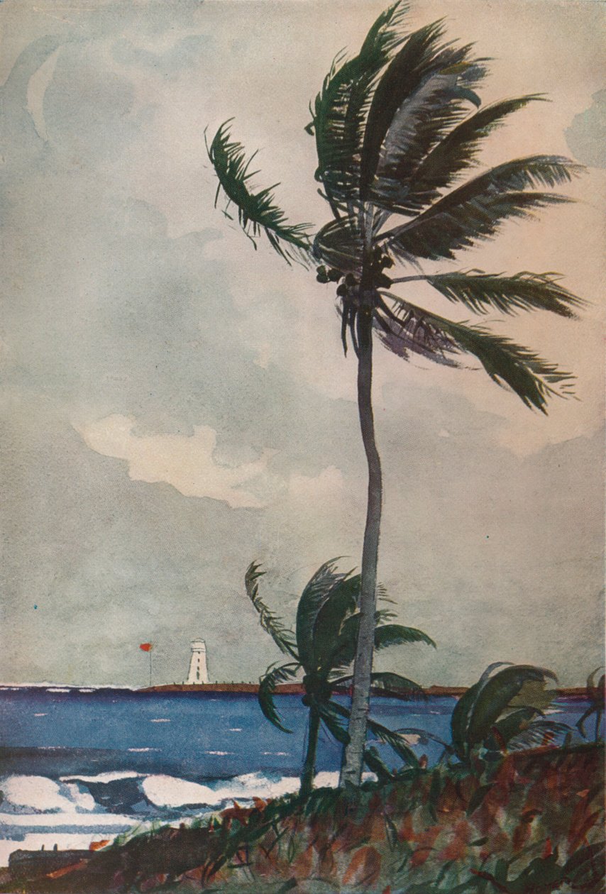 Palmy, Nassau, 1898, 1932 od Winslow Homer