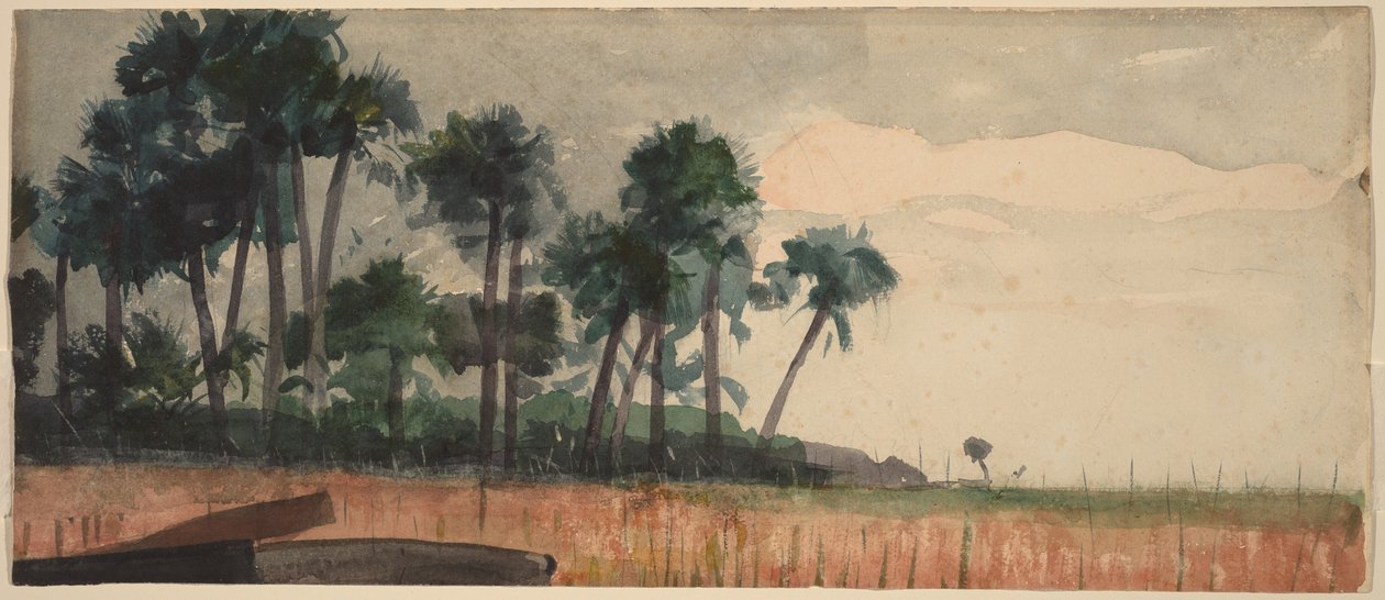 Červené palmy od Winslow Homer