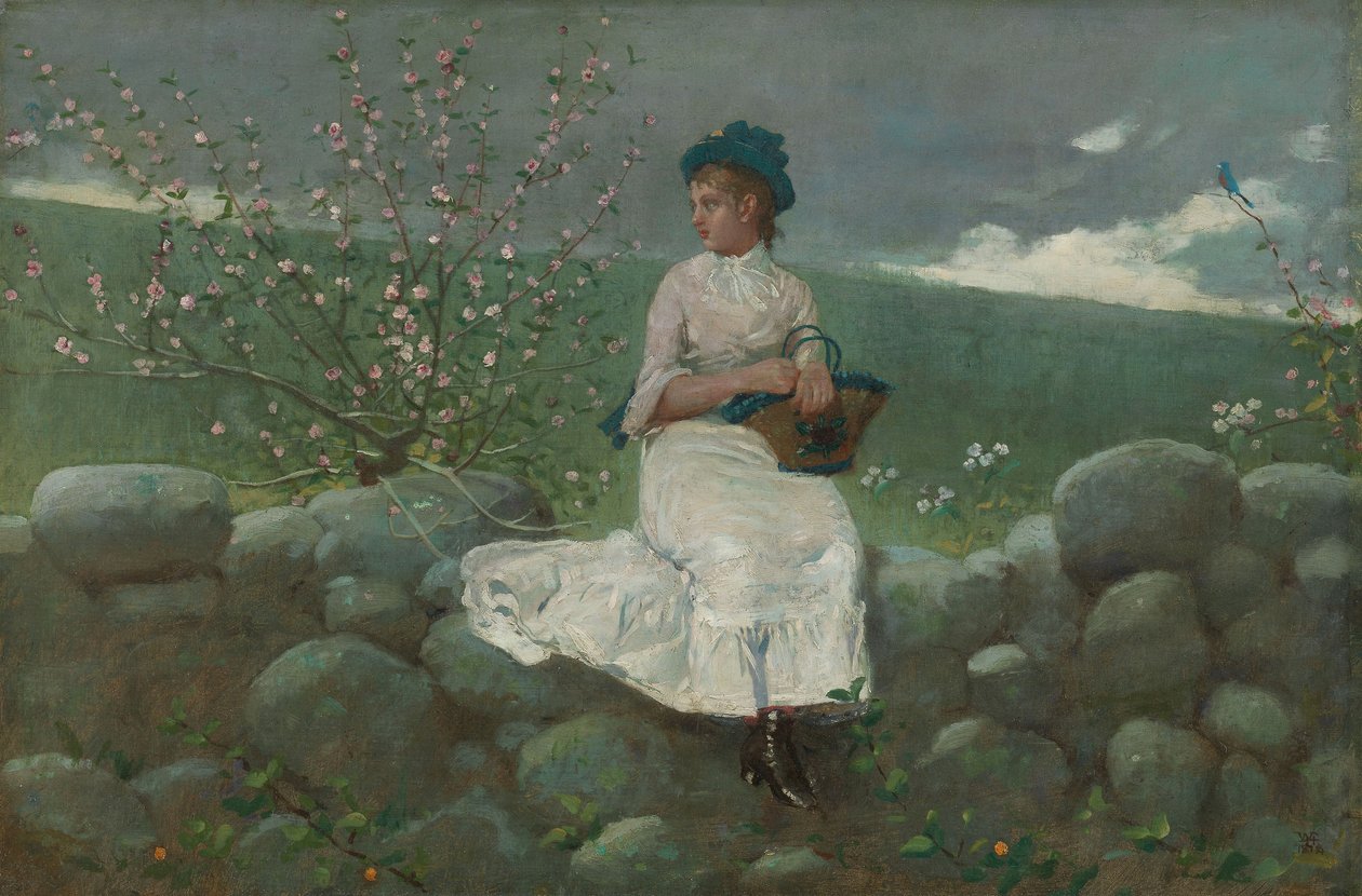 Květy broskve od Winslow Homer