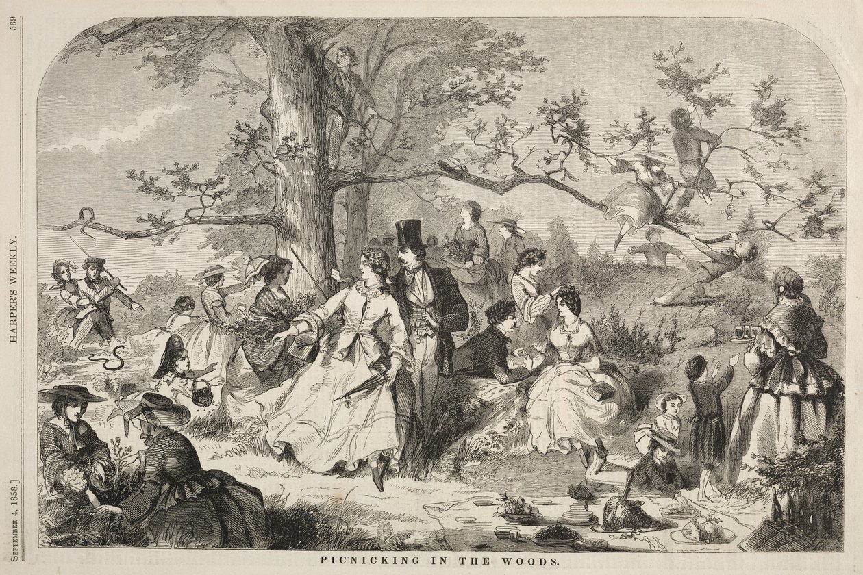 Piknik v lese od Winslow Homer