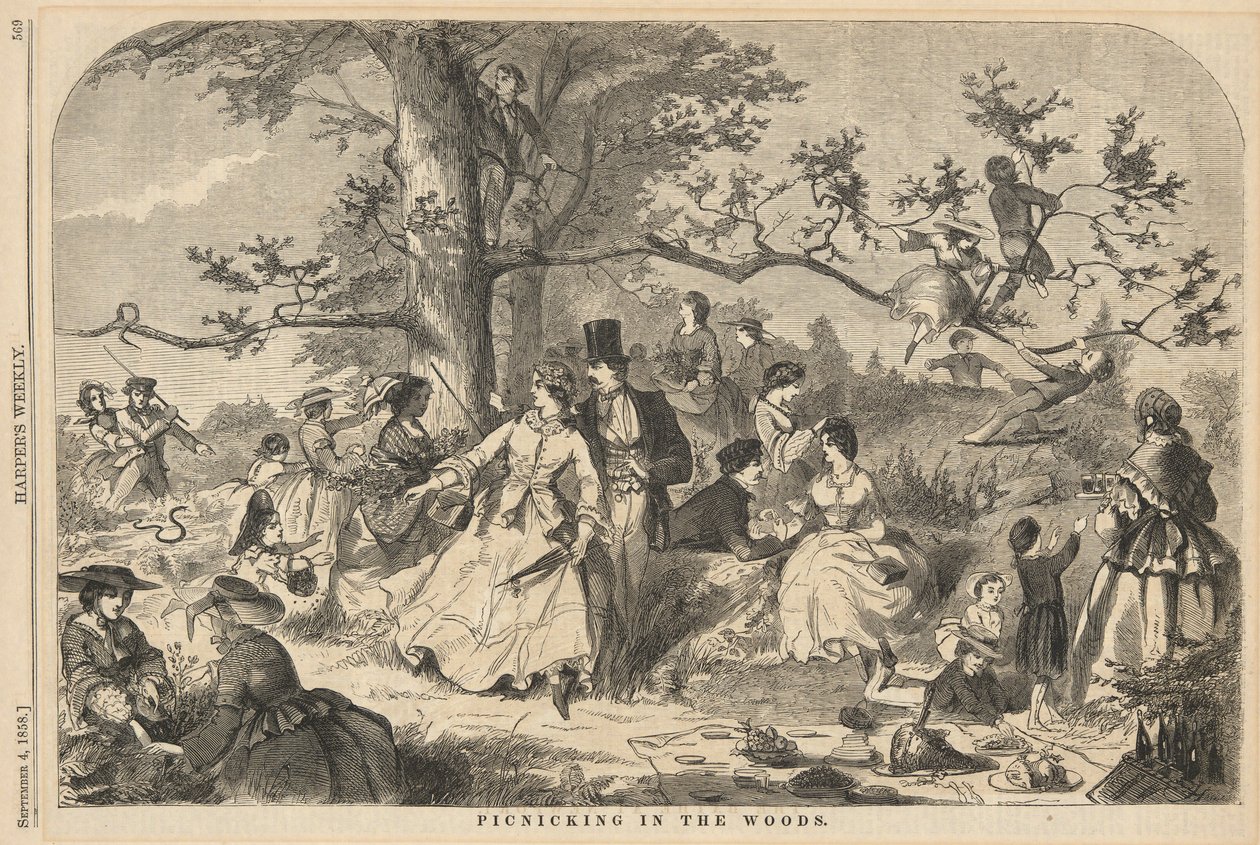 Picknicing in the Woods, od Harpera od Winslow Homer