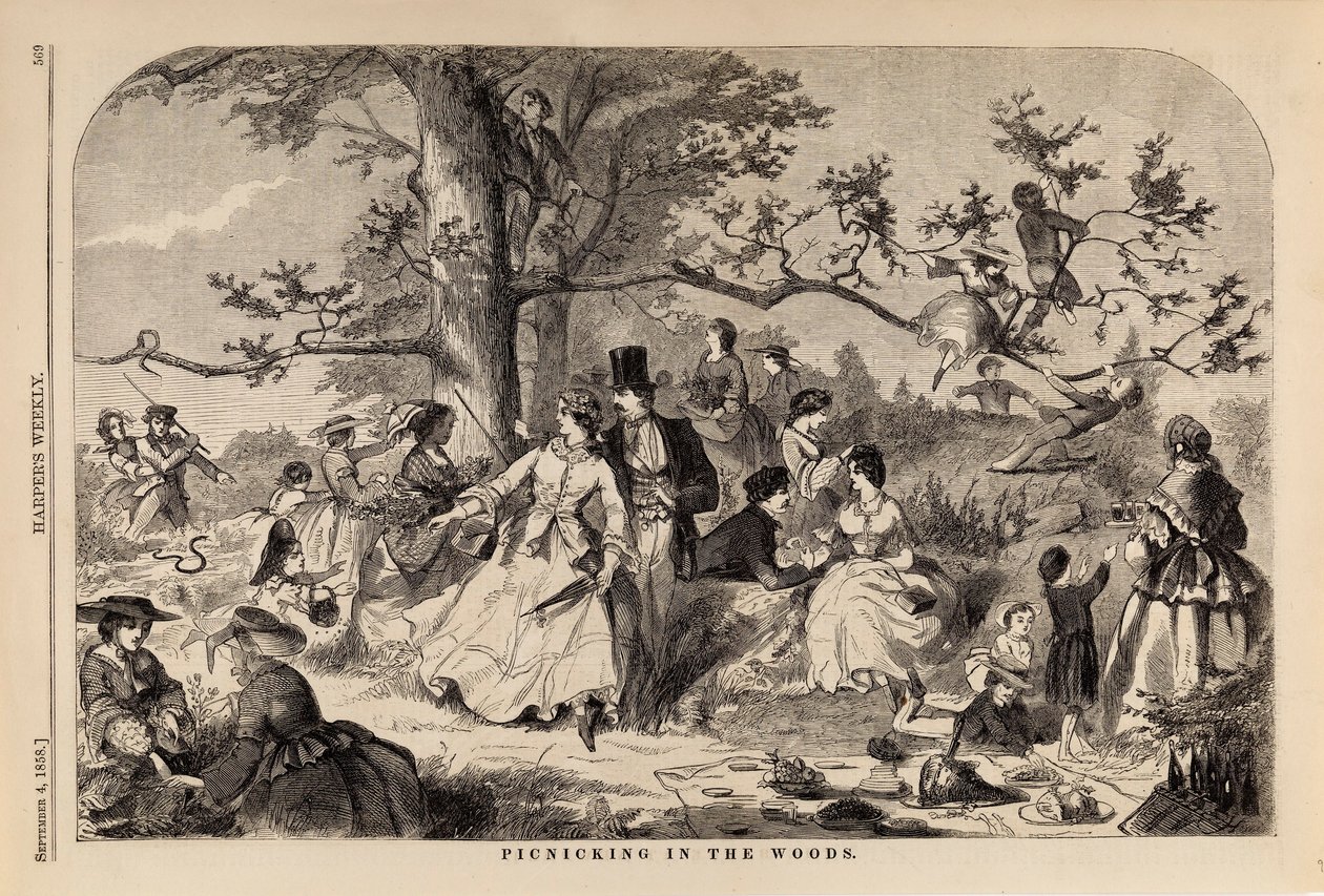 Piknik v lese, z Harper