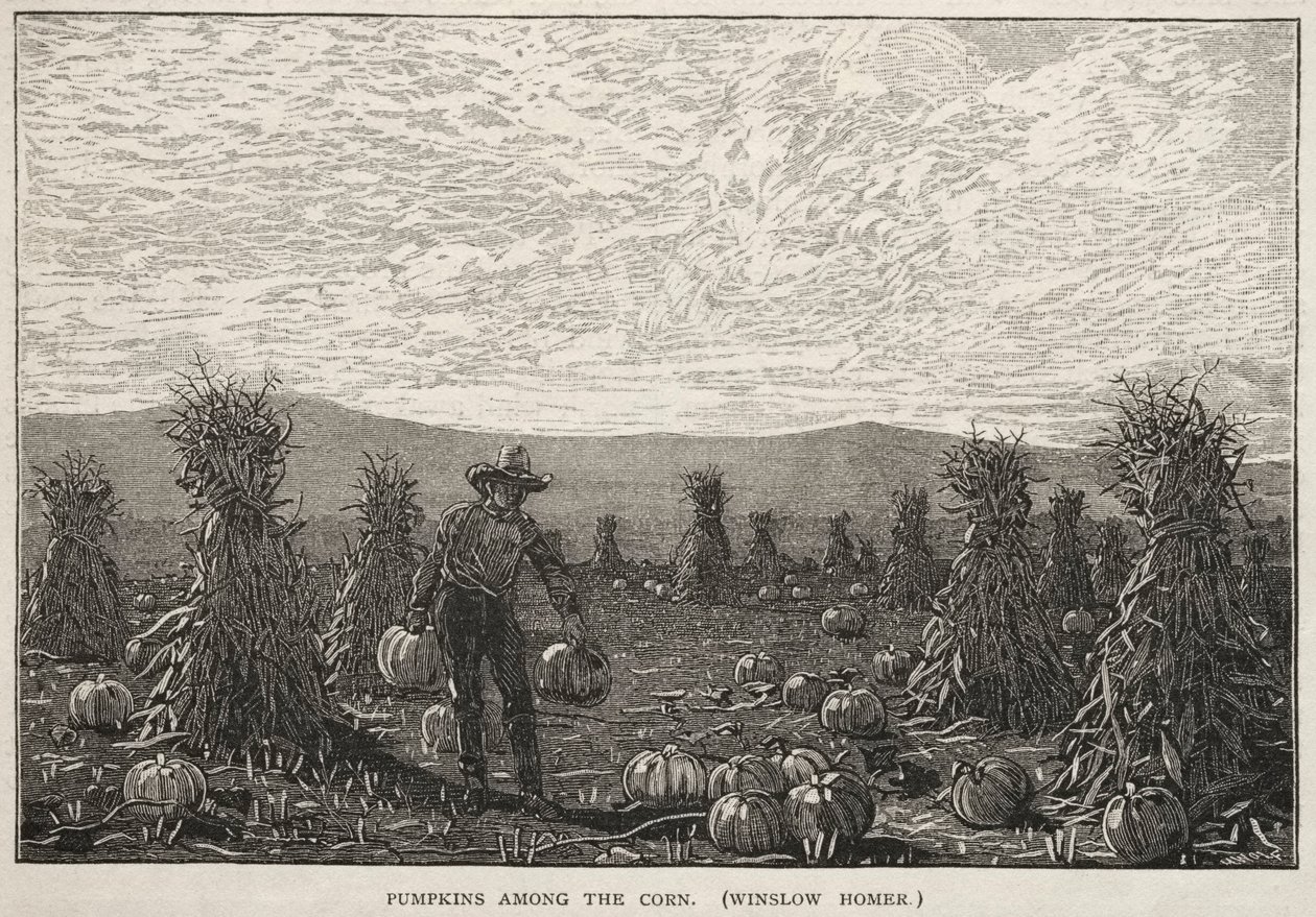 Dýně mezi kukuřicí od Winslow Homer
