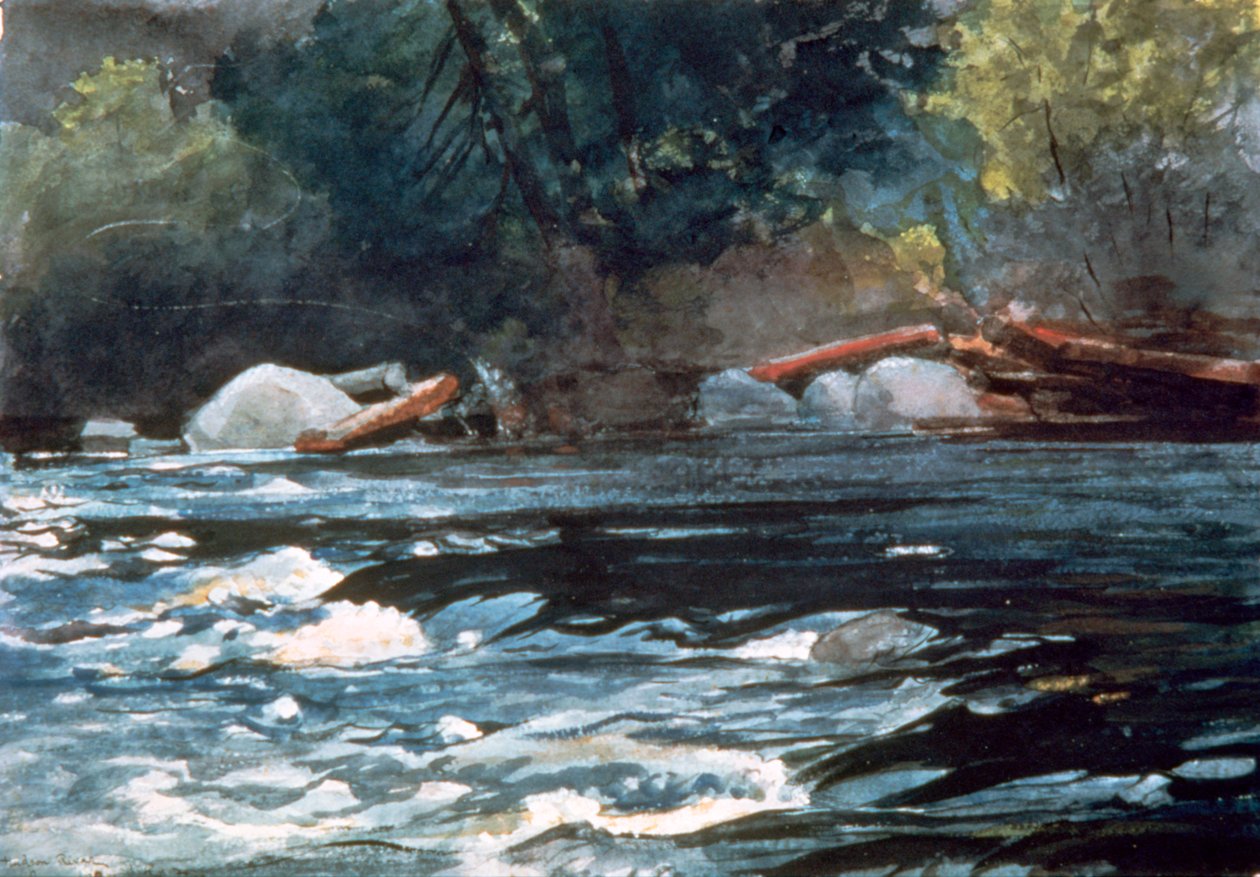 Rapids, řeka Hudson, 1894 od Winslow Homer