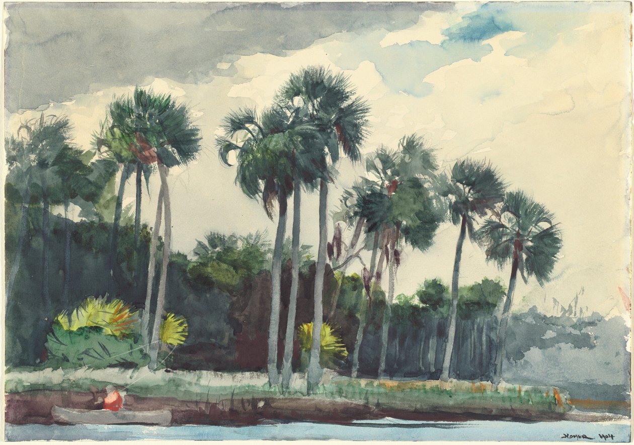 Červená košile, Homosassa, Florida, 1904. od Winslow Homer