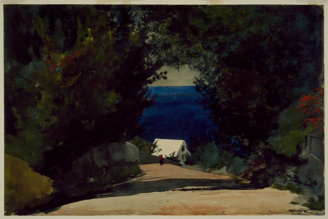 Silnice na Bermudách, asi 1899-1901 (akvarel na papíře) od Winslow Homer