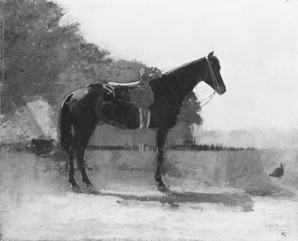 Jezdecký kůň na dvoře farmy od Winslow Homer