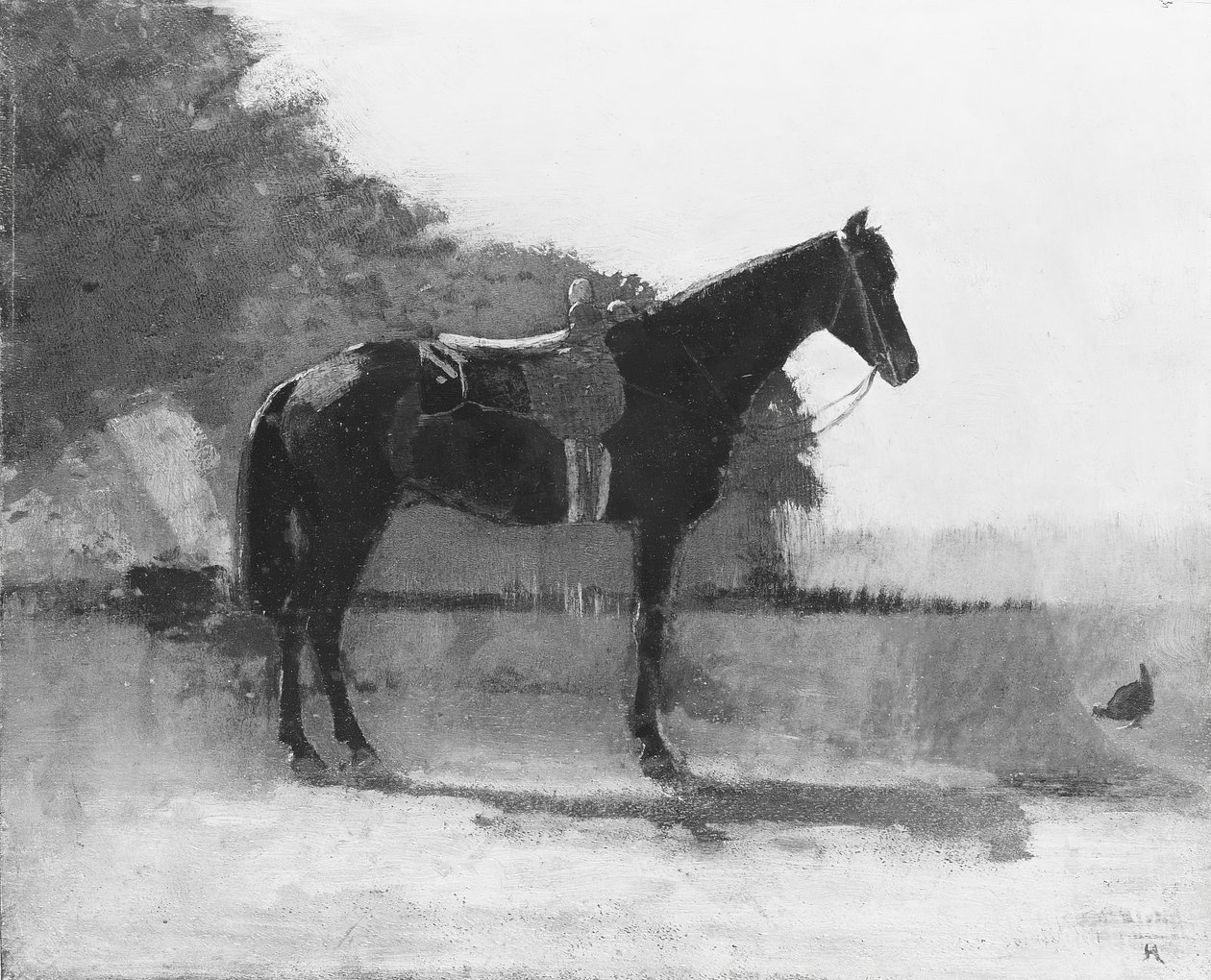 Sedlový kůň ve Farm Yard, ca. 1870-75. od Winslow Homer