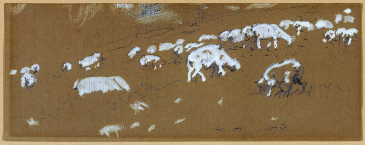 Ovce, 1878 (grafit a bílý kvaš na papíře) od Winslow Homer