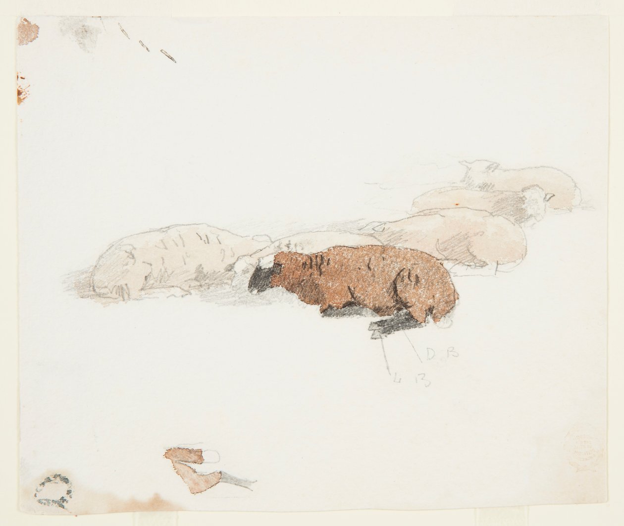 Ovce odpočívá od Winslow Homer