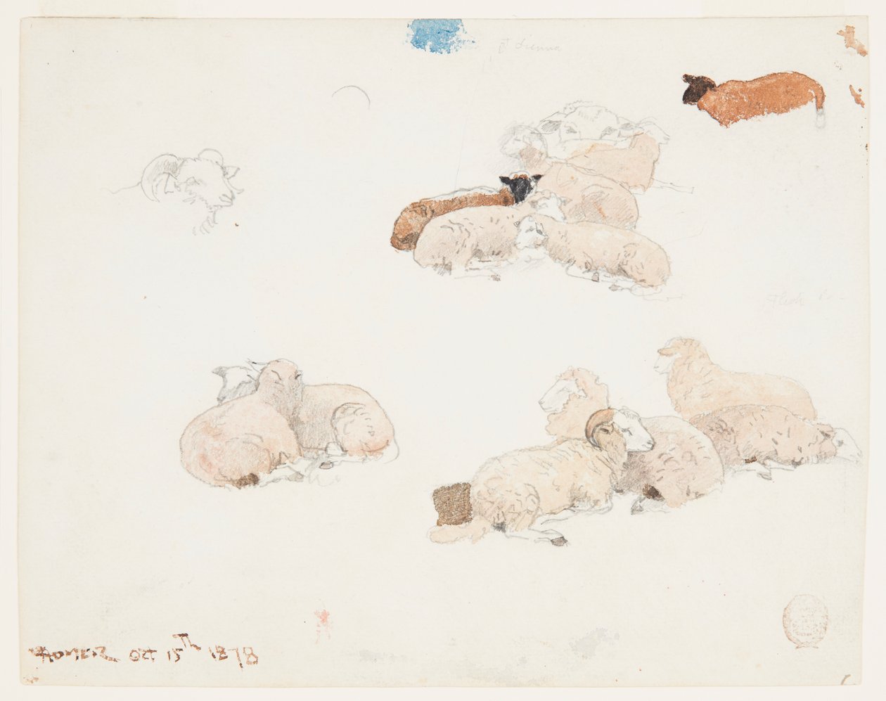 Ovce odpočívá od Winslow Homer