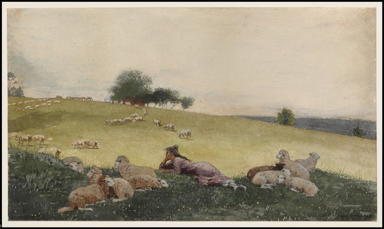 Pastýřka z Houghton Farm, 1878 od Winslow Homer