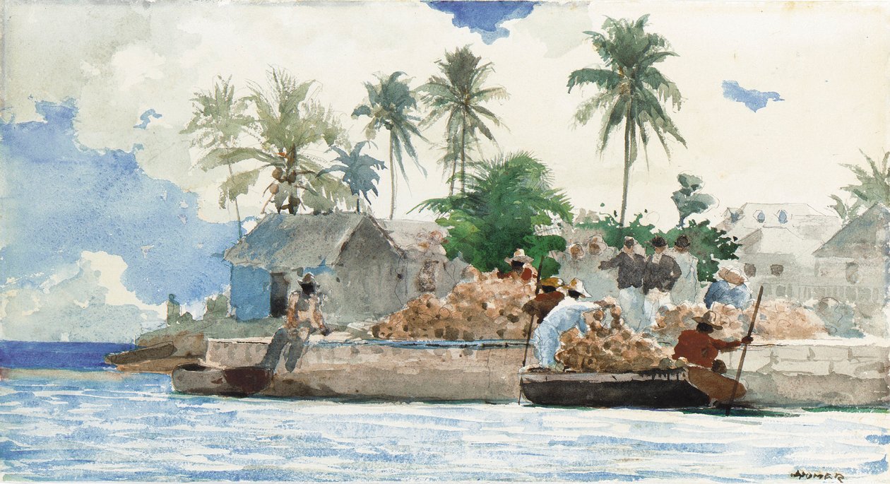 Sponge Fisherman, Bahamy od Winslow Homer