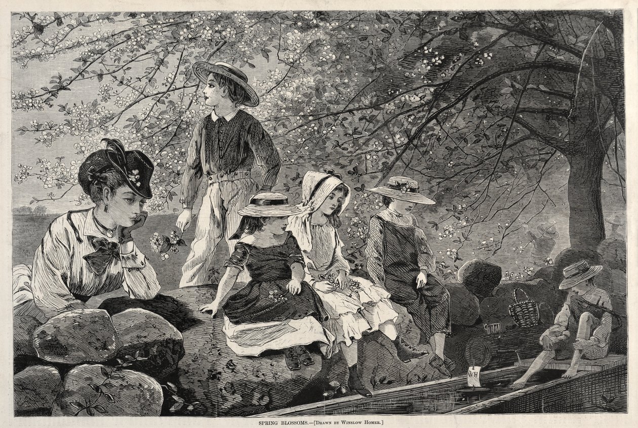 Jarní květy od Winslow Homer