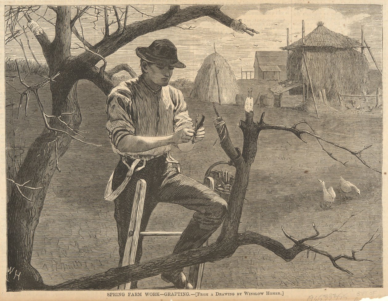 Jarní farmářské práce od Winslow Homer