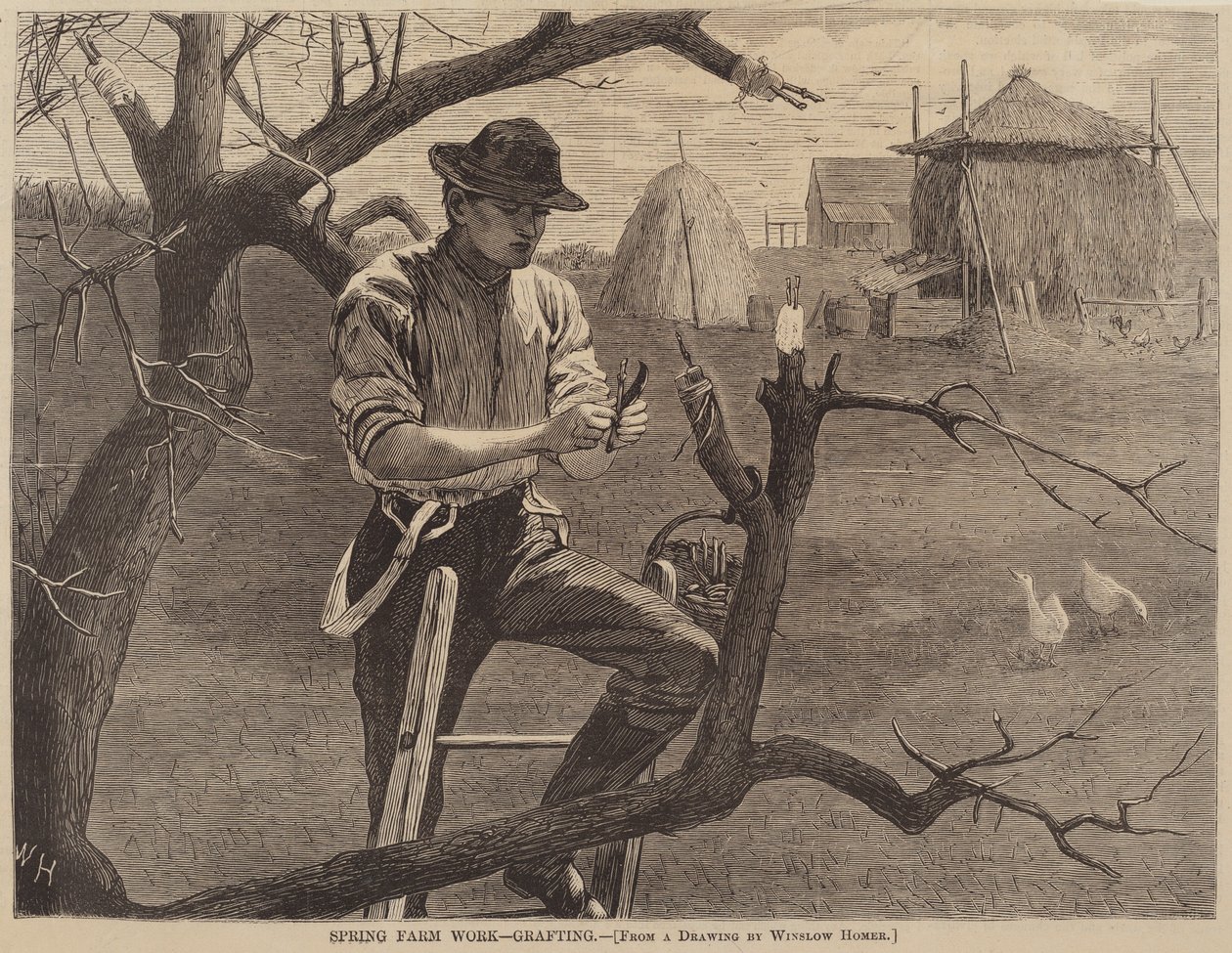 Jarní farmářské práce - roubování, vydáno 1870. od Winslow Homer