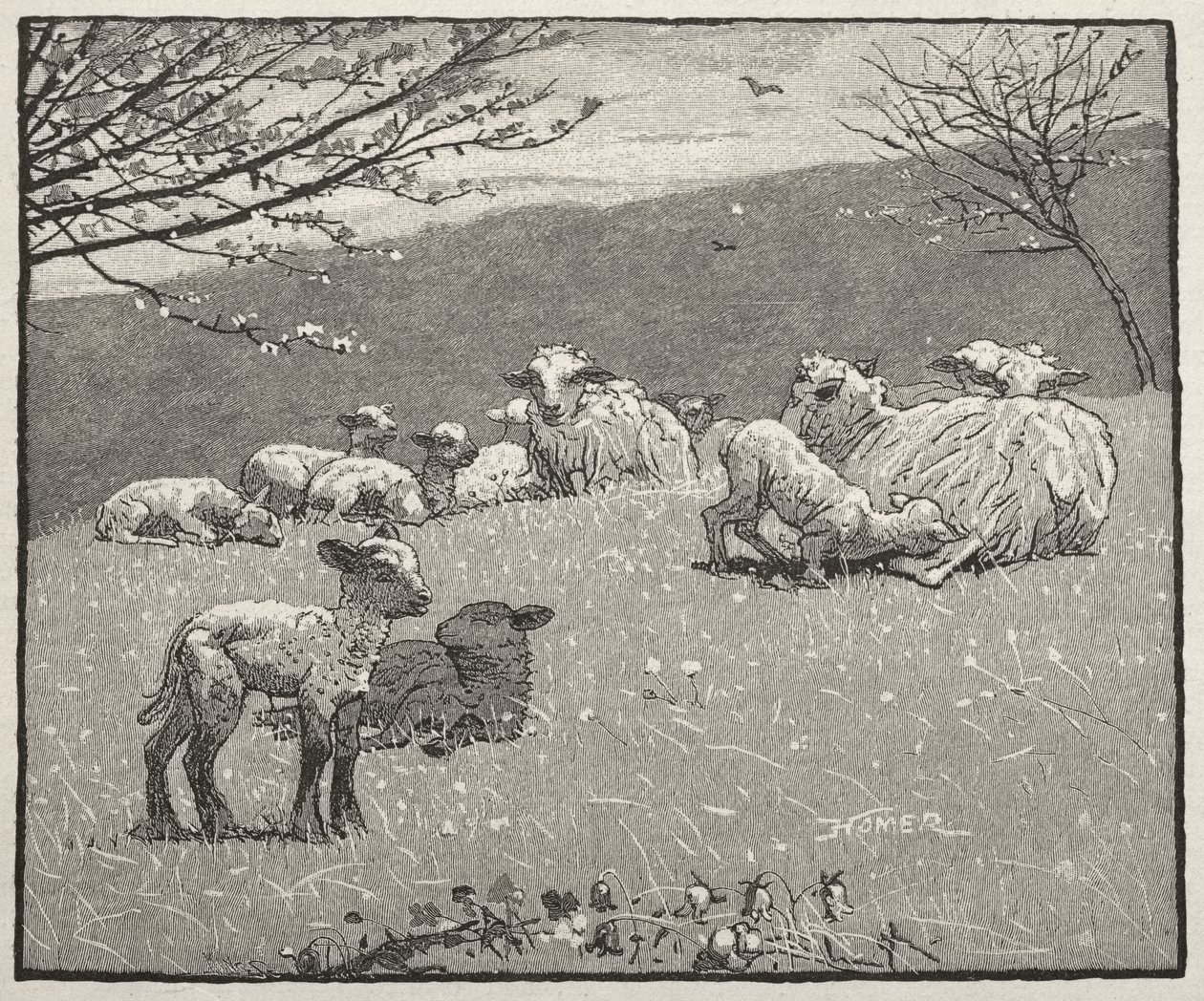 Jarní jehně od Winslow Homer