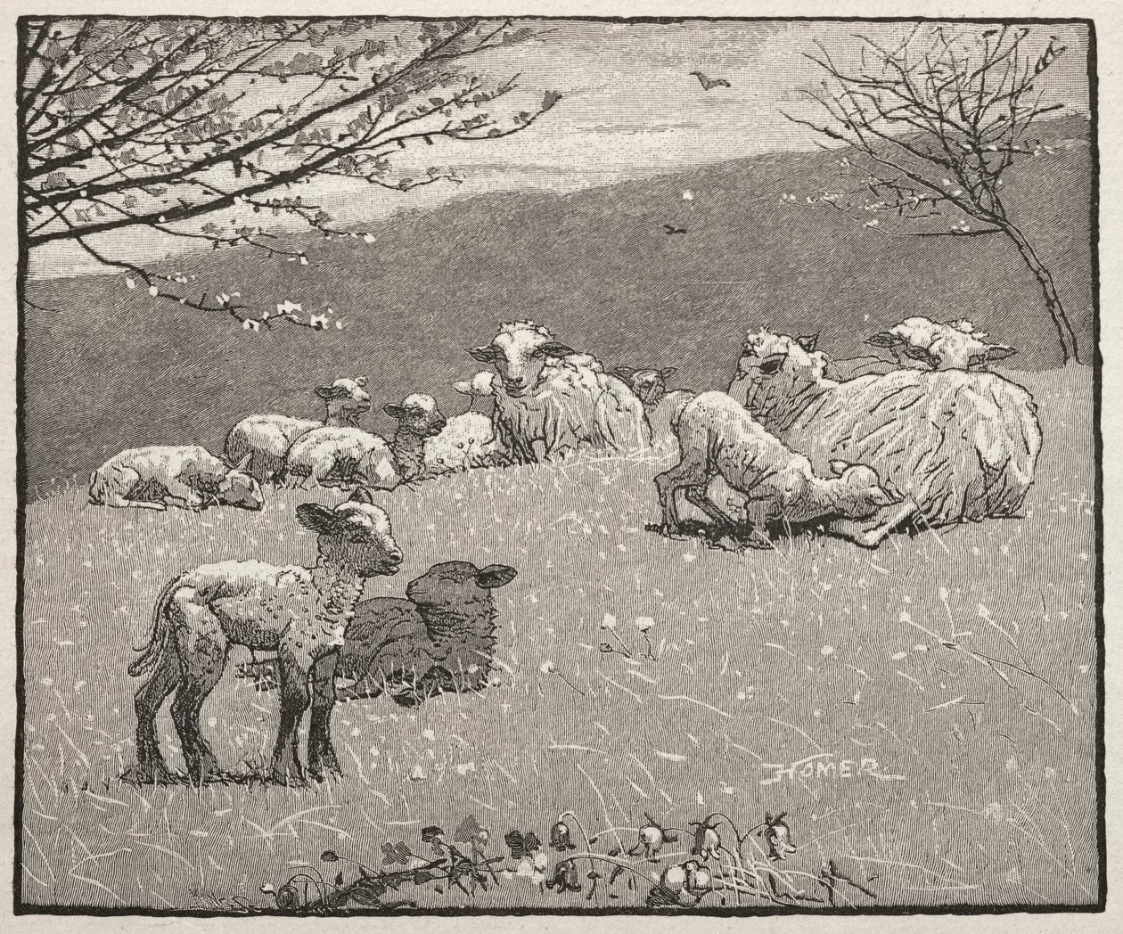Jarní beránek, 1880. od Winslow Homer