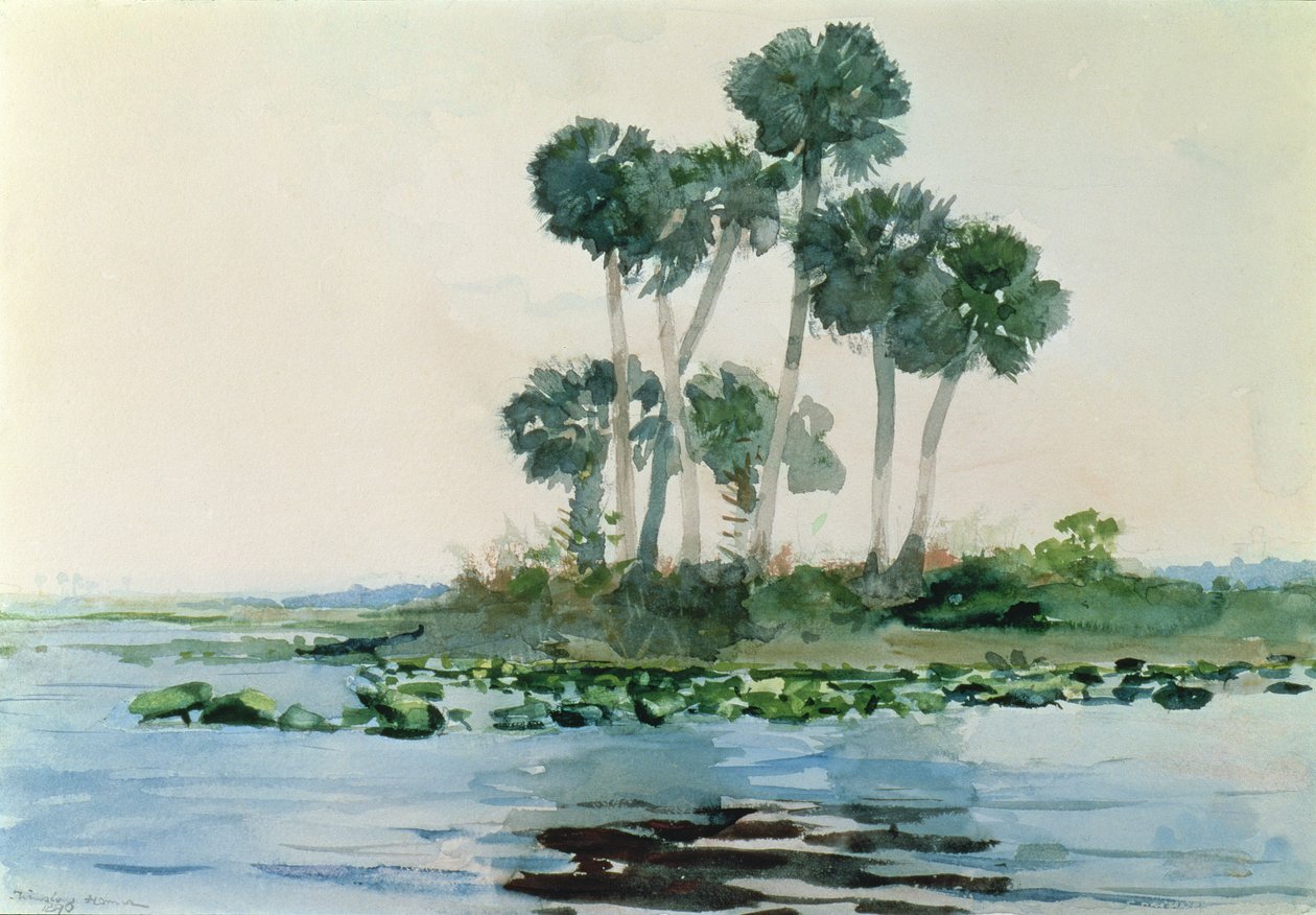 Řeka Svatého Jana, Florida, 1890 od Winslow Homer