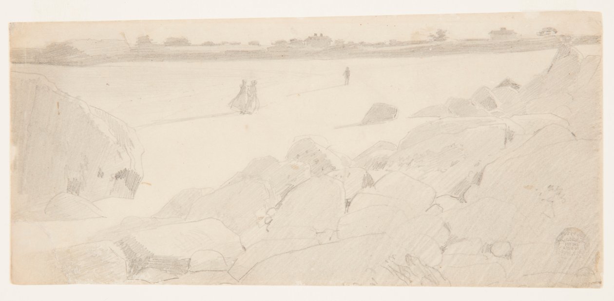 Studie na "Skalnaté pobřeží a rackové" od Winslow Homer