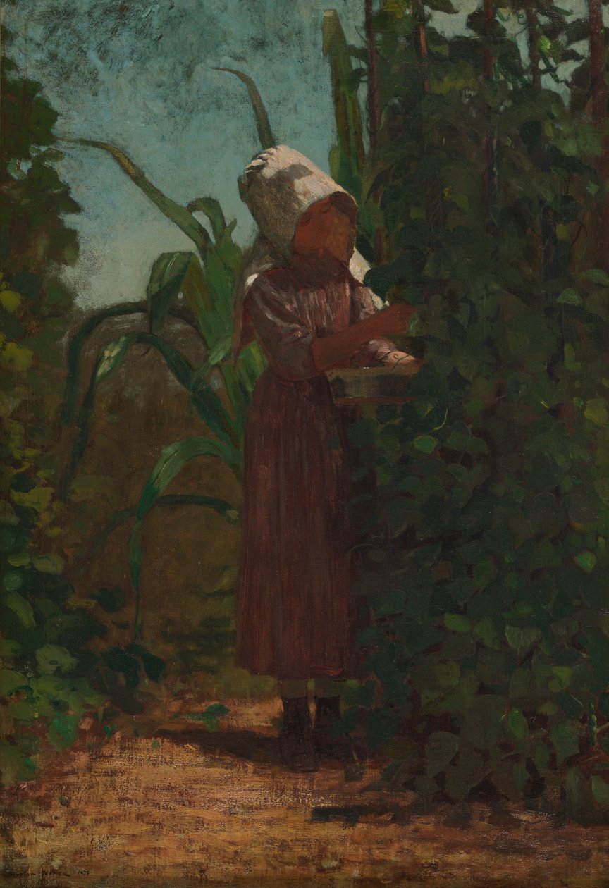 Sběrač fazolí od Winslow Homer