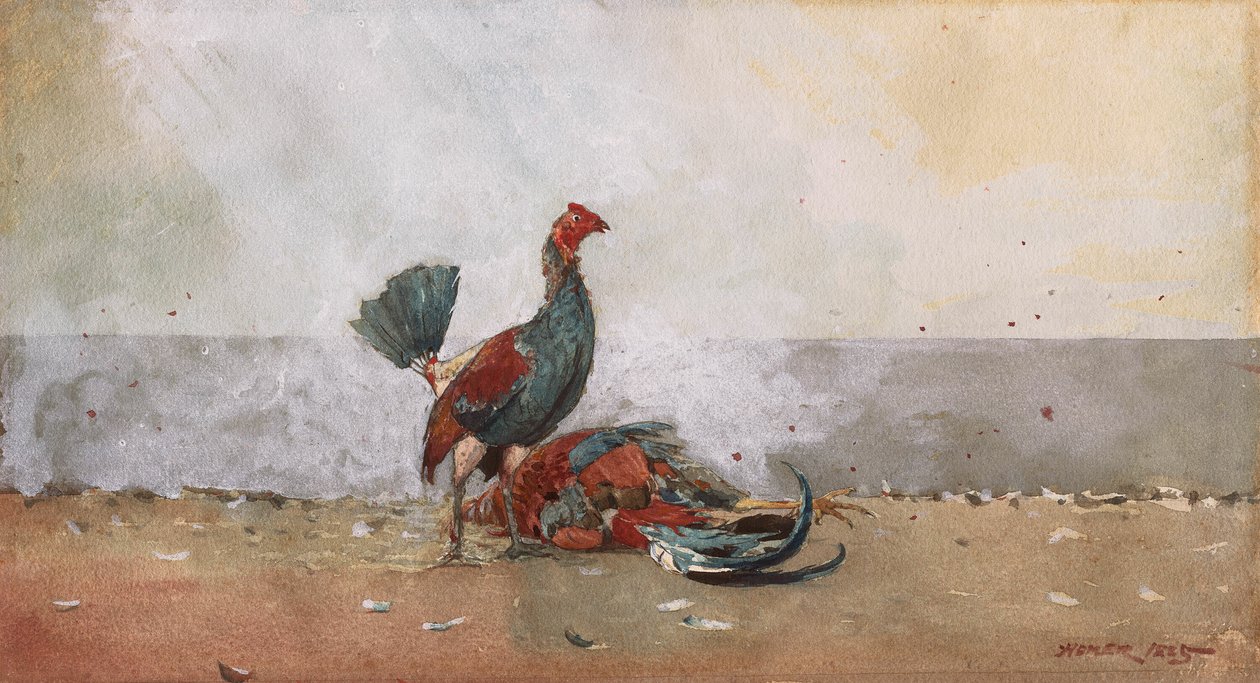 Kohoutí souboj od Winslow Homer