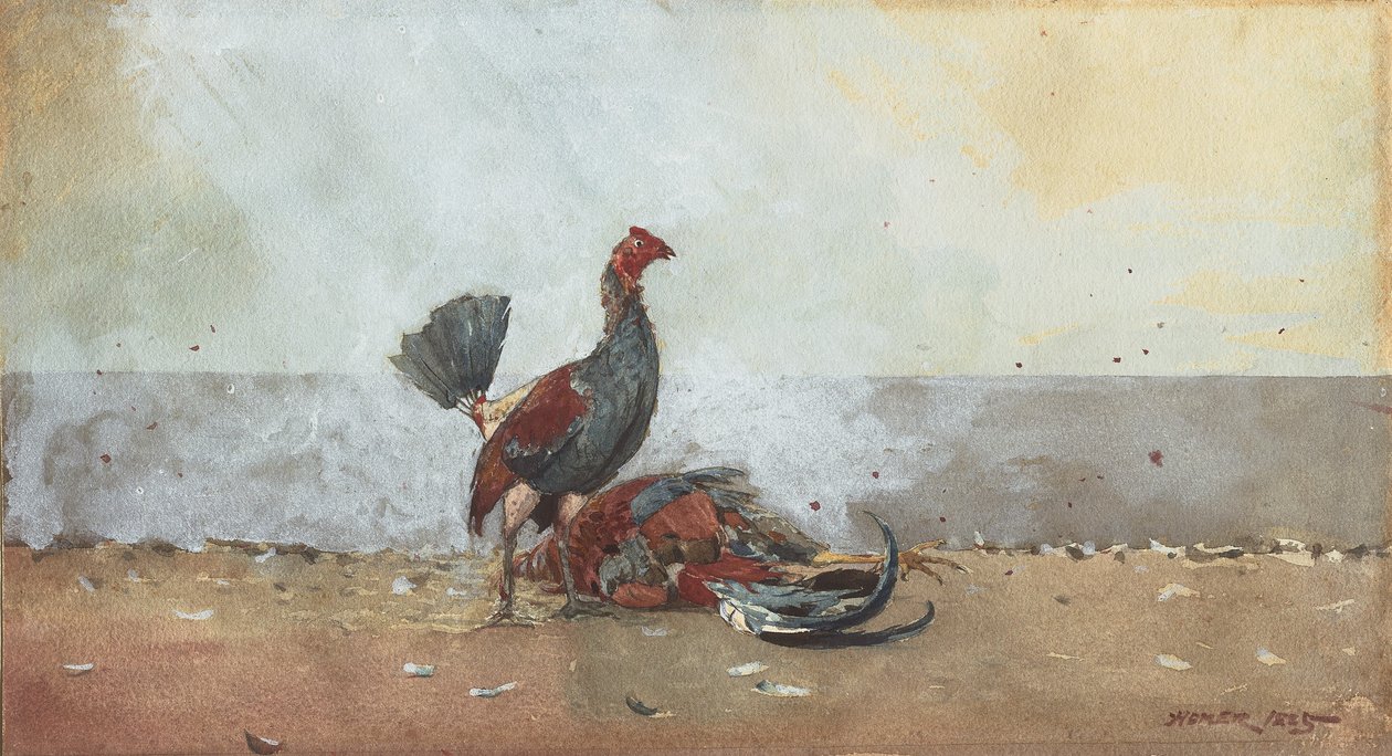 Kohoutí souboj od Winslow Homer