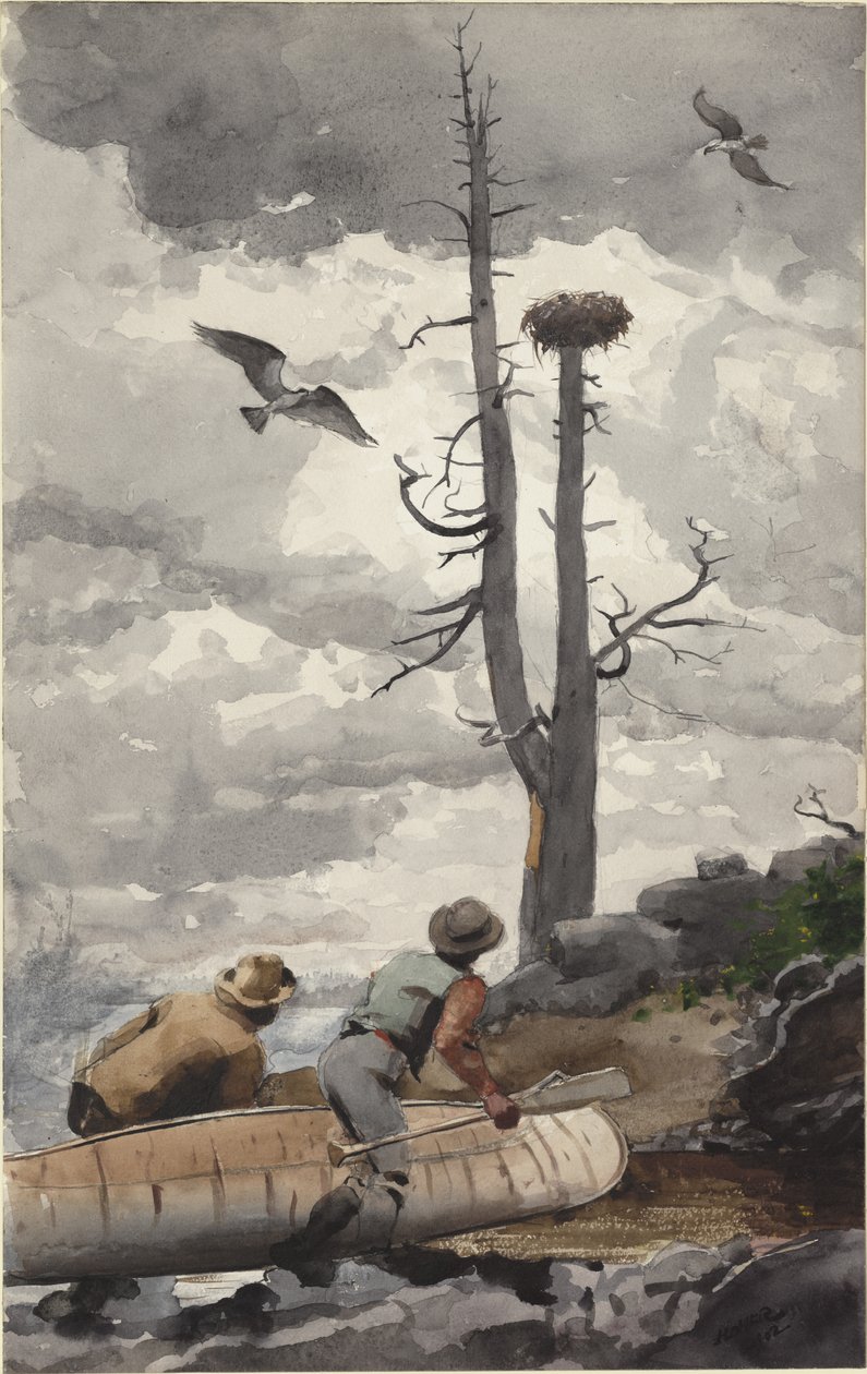 Orlí hnízdo od Winslow Homer