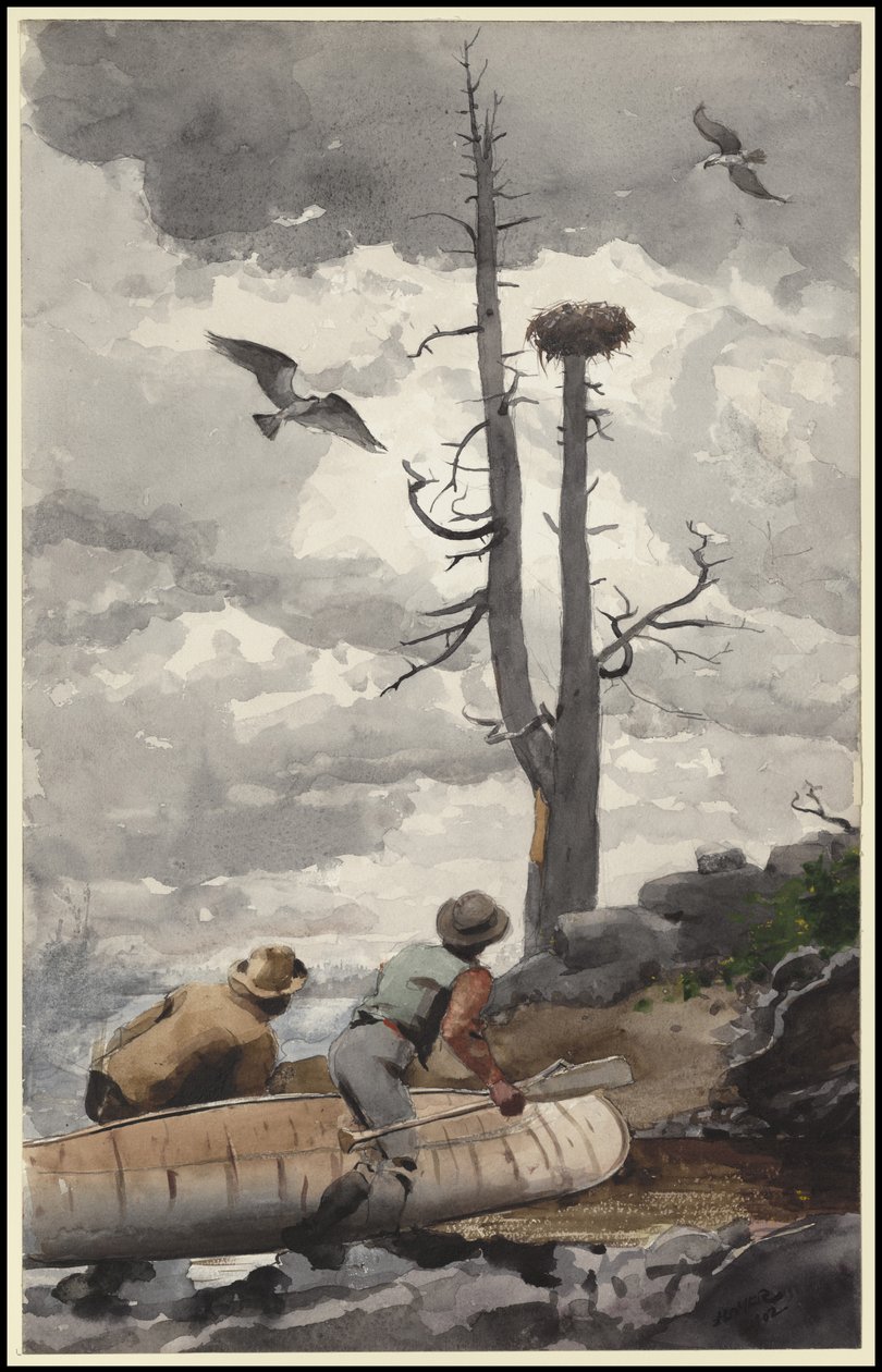 Orlí hnízdo, 1902 od Winslow Homer