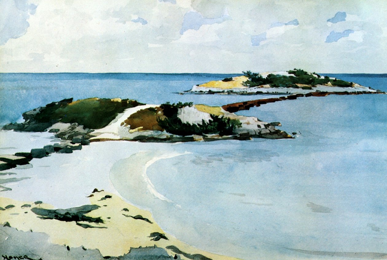 Favorit, 1899-1901 (čb a tužka na papíře) od Winslow Homer