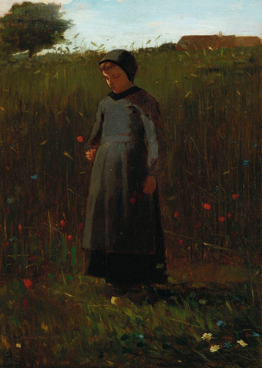 Květiny pole od Winslow Homer