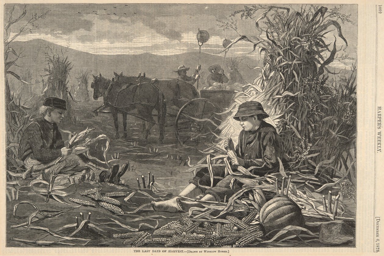 The Last Days of Harvest, od Harpera od Winslow Homer