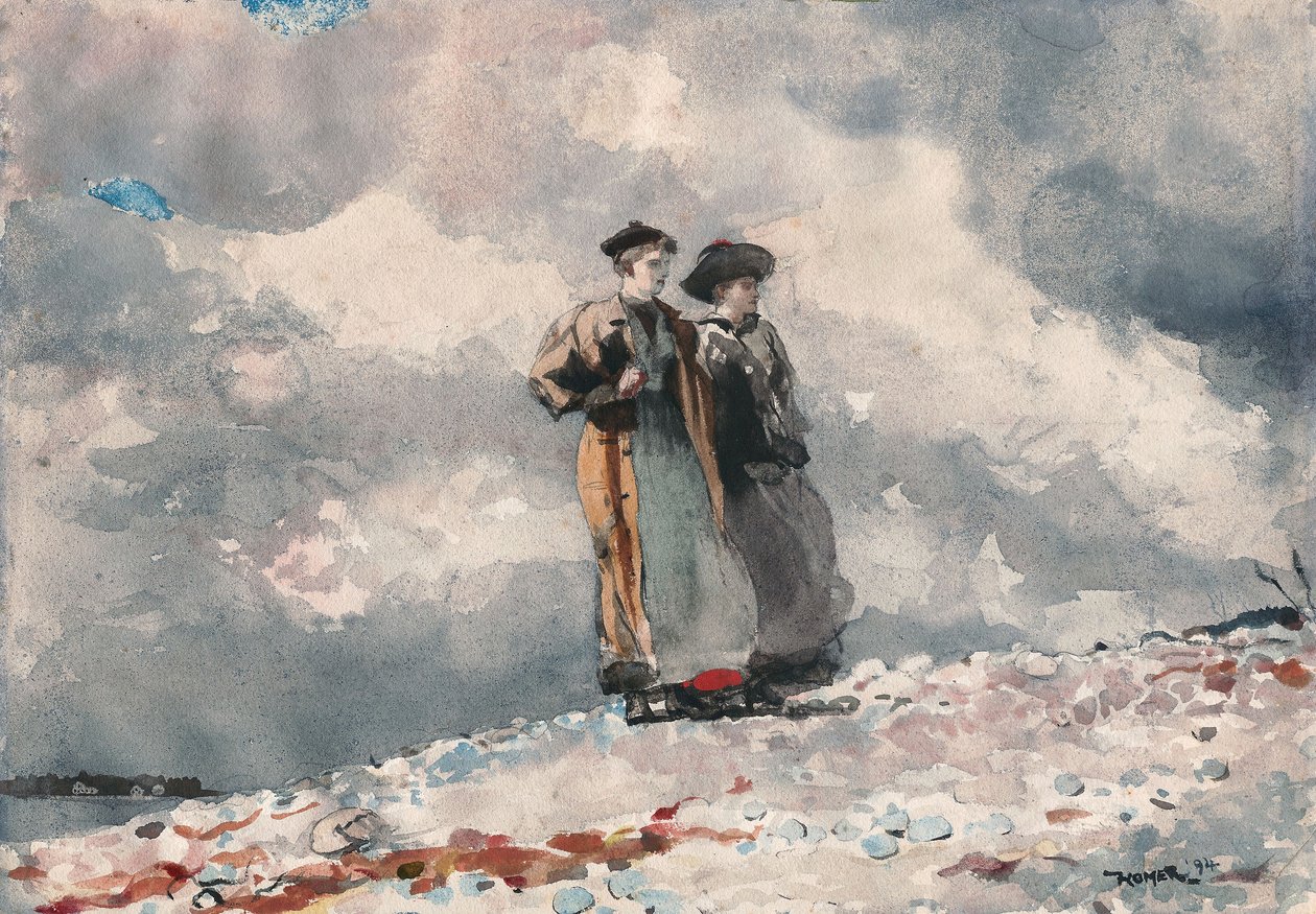 Výhled, pobřeží Maine od Winslow Homer